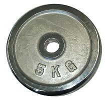 Chromový kotouč (závaží na činky) 5kg