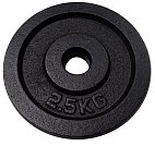 Litinový kotouč (závaží) na činky 2,5 kg Litinový kotouč (závaží) na činky 2,5 kg
