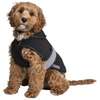 Trespass 601558 BUTCH X - SOFTSHELL DOG JACKET vel.M