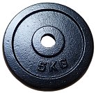 Litinový kotouč (závaží) na činky 5kg Litinový kotouč (závaží) na činky 5kg