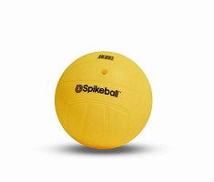 Spikeball Family