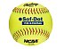 Rawlings Softballový míček 11"  FP11S