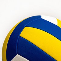 Acra Official Volleyball - velikost 5